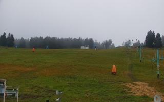 Zieleniec PTZ #2 - 03-11-2025 06:25