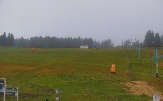 Zieleniec PTZ #2 - 03-11-2025 06:40