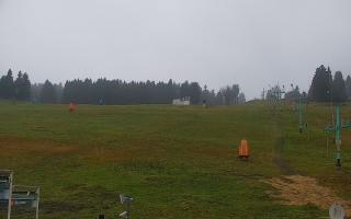 Zieleniec PTZ #2 - 03-11-2025 06:48