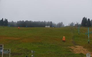 Zieleniec PTZ #2 - 03-11-2025 07:03