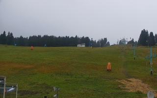 Zieleniec PTZ #2 - 03-11-2025 07:11