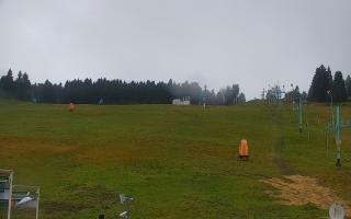 Zieleniec PTZ #2 - 03-11-2025 07:27