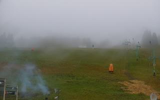 Zieleniec PTZ #2 - 03-11-2025 11:56