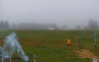 Zieleniec PTZ #2 - 03-11-2025 12:04