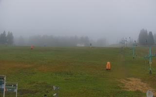 Zieleniec PTZ #2 - 03-11-2025 12:19