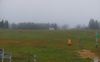 Zieleniec PTZ #2 - 03-11-2025 12:27