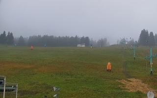 Zieleniec PTZ #2 - 03-11-2025 12:35