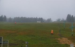 Zieleniec PTZ #2 - 03-11-2025 12:42