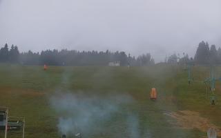 Zieleniec PTZ #2 - 03-11-2025 12:50