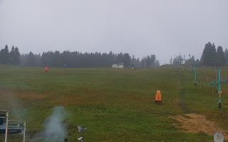 Zieleniec PTZ #2 - 03-11-2025 12:58