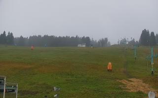 Zieleniec PTZ #2 - 03-11-2025 13:06