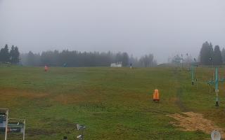 Zieleniec PTZ #2 - 03-11-2025 13:13