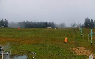 Zieleniec PTZ #2 - 03-11-2025 13:21