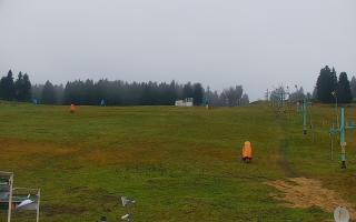 Zieleniec PTZ #2 - 03-11-2025 13:29