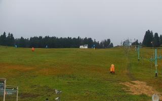 Zieleniec PTZ #2 - 03-11-2025 13:36