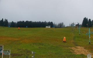 Zieleniec PTZ #2 - 03-11-2025 13:44