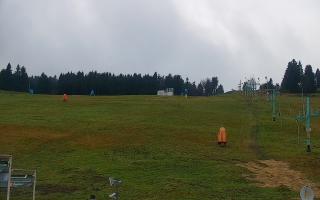 Zieleniec PTZ #2 - 03-11-2025 13:52