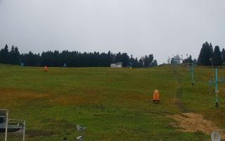 Zieleniec PTZ #2 - 03-11-2025 14:00