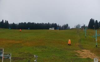 Zieleniec PTZ #2 - 03-11-2025 14:07