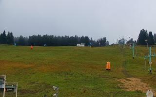 Zieleniec PTZ #2 - 03-11-2025 14:15