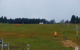 Zieleniec PTZ #2 - 03-11-2025 14:23