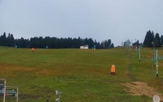 Zieleniec PTZ #2 - 03-11-2025 14:38