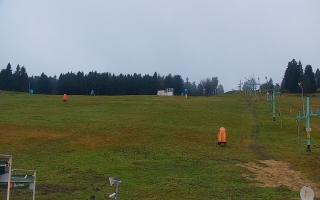 Zieleniec PTZ #2 - 03-11-2025 14:46