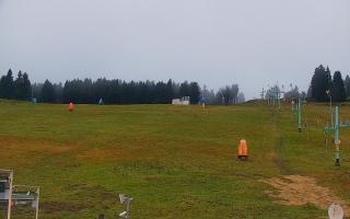 Zieleniec PTZ #2 - 03-11-2025 14:54