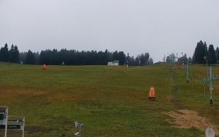 Zieleniec PTZ #2 - 03-11-2025 15:09