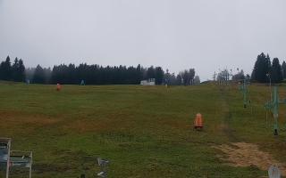 Zieleniec PTZ #2 - 03-11-2025 15:17