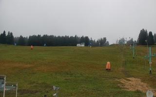 Zieleniec PTZ #2 - 03-11-2025 15:24