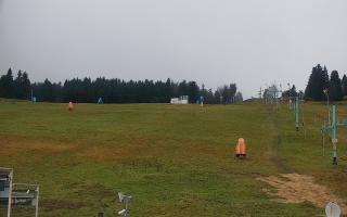 Zieleniec PTZ #2 - 03-11-2025 15:32