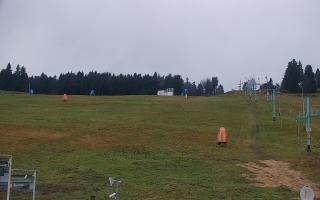 Zieleniec PTZ #2 - 03-11-2025 15:40