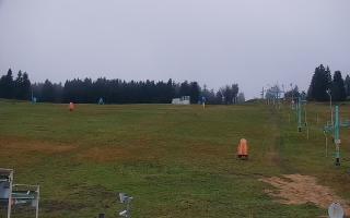 Zieleniec PTZ #2 - 03-11-2025 15:47