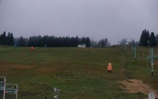 Zieleniec PTZ #2 - 03-11-2025 15:55