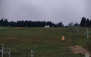 Zieleniec PTZ #2 - 03-11-2025 16:03