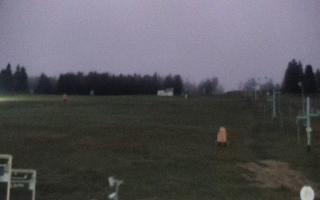 Zieleniec PTZ #2 - 03-11-2025 16:11