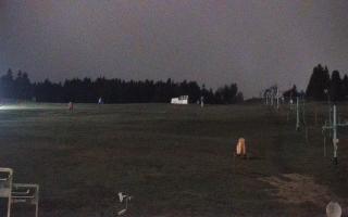 Zieleniec PTZ #2 - 03-11-2025 17:20