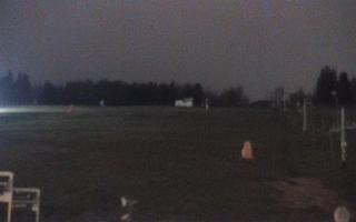 Zieleniec PTZ #2 - 03-11-2025 18:29