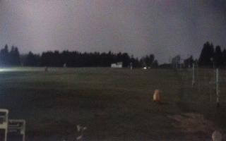 Zieleniec PTZ #2 - 03-11-2025 19:08