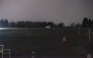 Zieleniec PTZ #2 - 03-11-2025 19:15