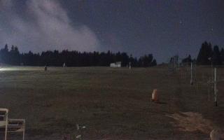 Zieleniec PTZ #2 - 03-11-2025 20:02