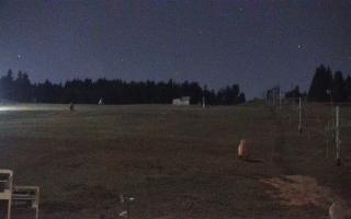 Zieleniec PTZ #2 - 03-11-2025 20:09