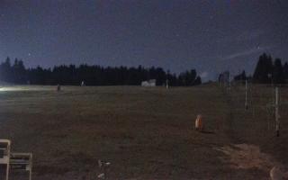 Zieleniec PTZ #2 - 03-11-2025 20:17