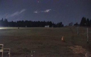 Zieleniec PTZ #2 - 03-11-2025 20:32