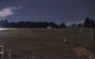 Zieleniec PTZ #2 - 03-11-2025 20:40