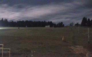 Zieleniec PTZ #2 - 03-11-2025 20:56