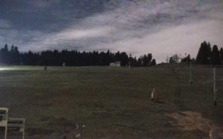 Zieleniec PTZ #2 - 03-11-2025 21:03