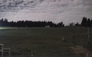 Zieleniec PTZ #2 - 03-11-2025 21:11