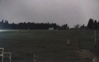 Zieleniec PTZ #2 - 03-11-2025 22:05